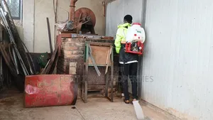 Ok Fumigation With Cleantex