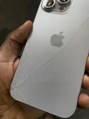 Apple iPhone 16 Pro Max 256 GB Silver