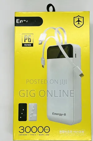 Energy B 30000mAh Portable Charger