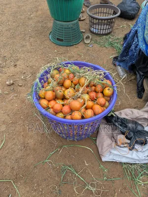Fresh Tomatoes