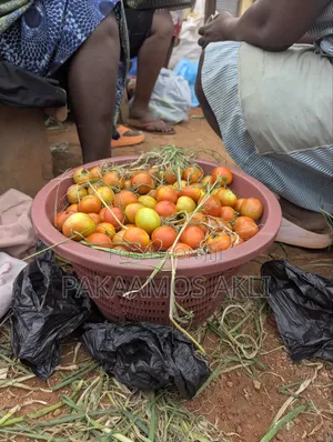 Fresh Tomatoes
