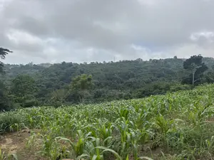 Lands for Sale