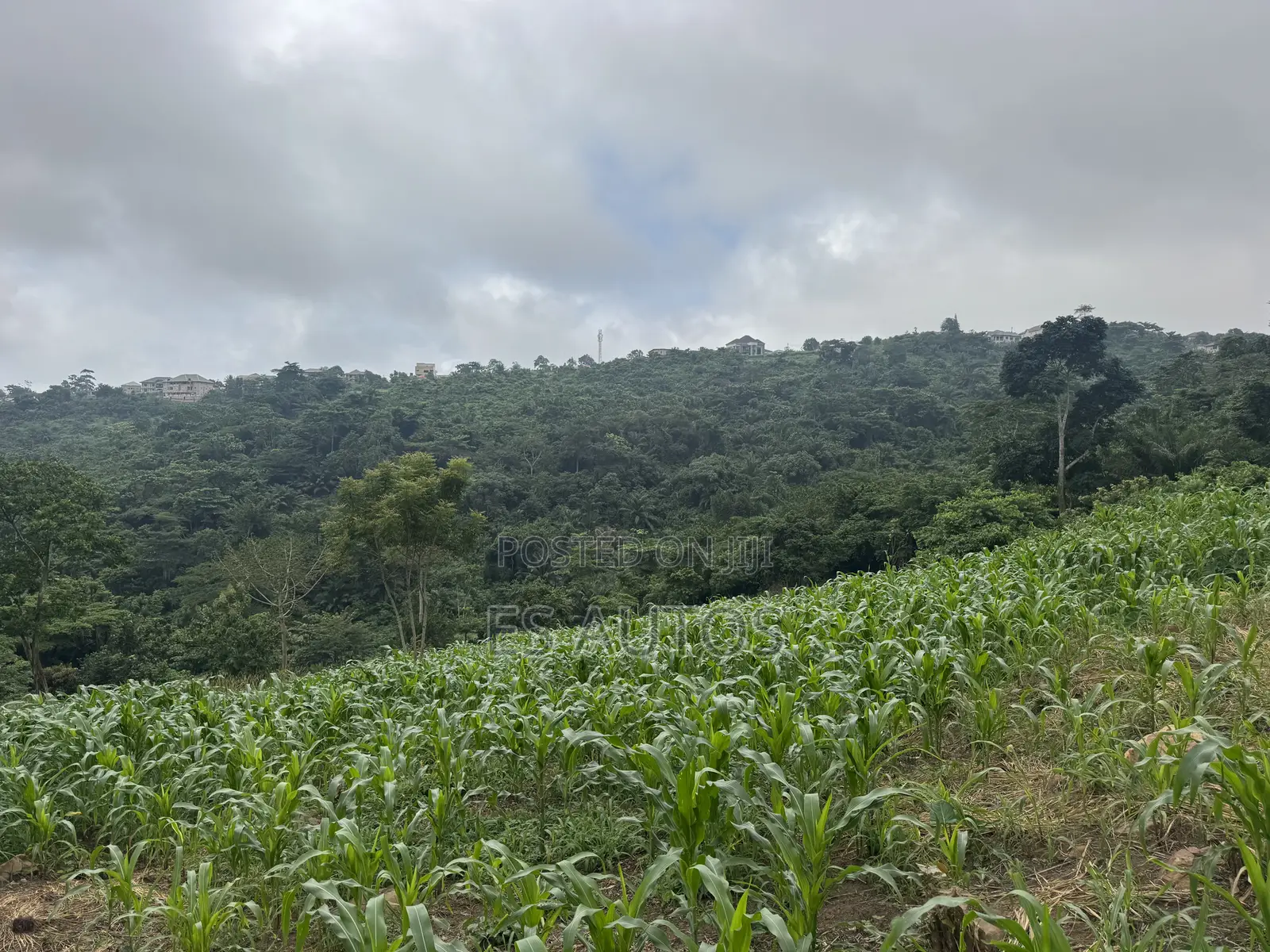 Lands for Sale