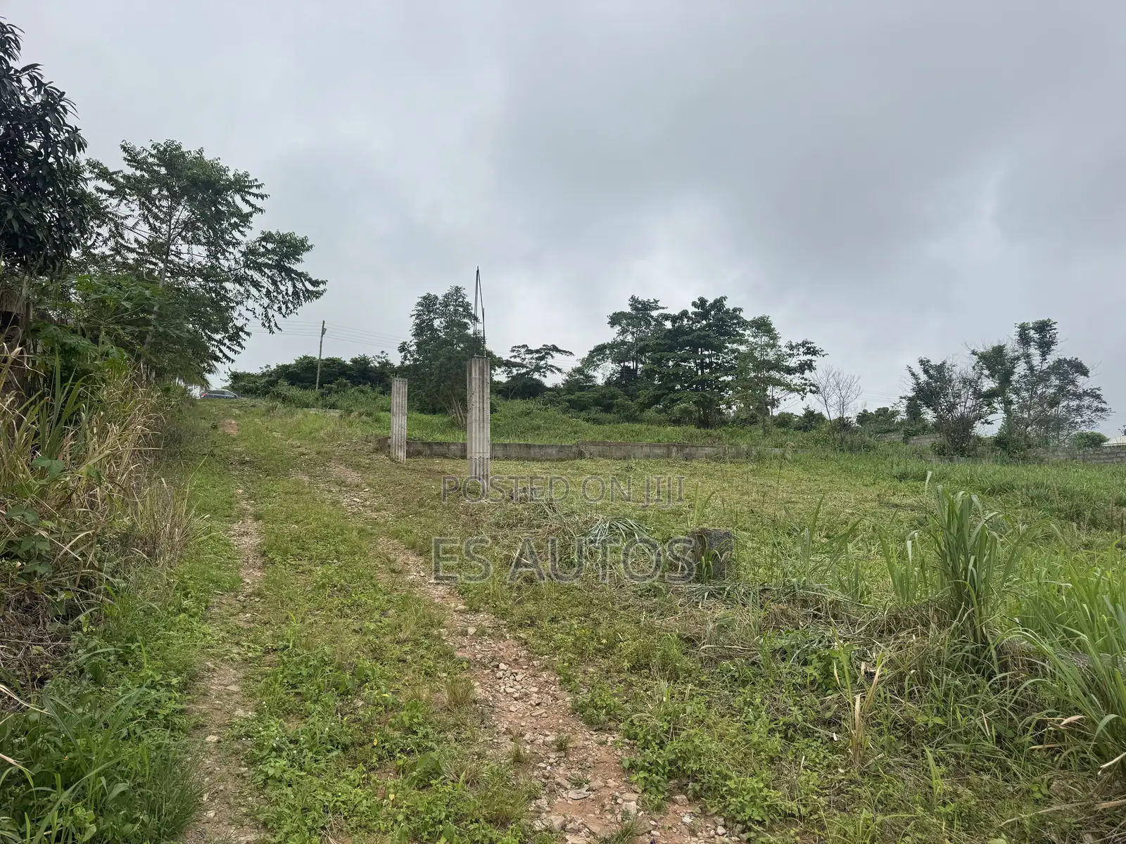 Lands for Sale