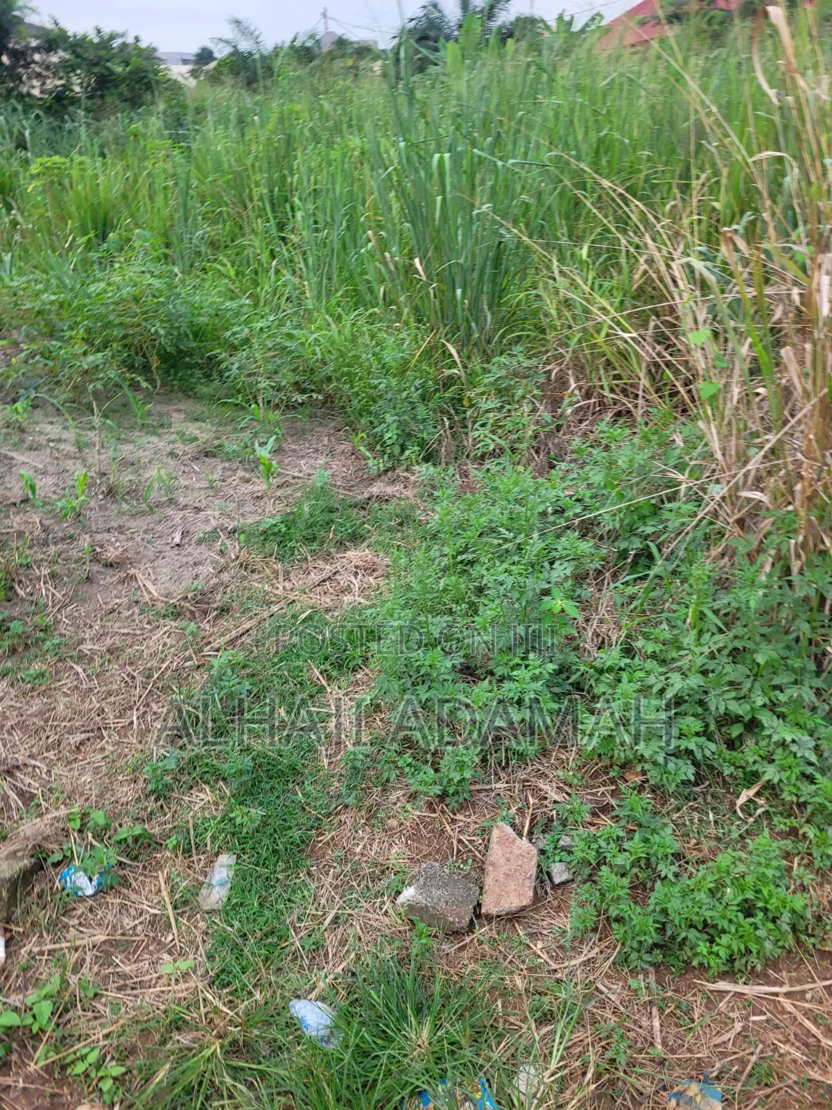 Plot for Sale at Brofoyedro Bebu