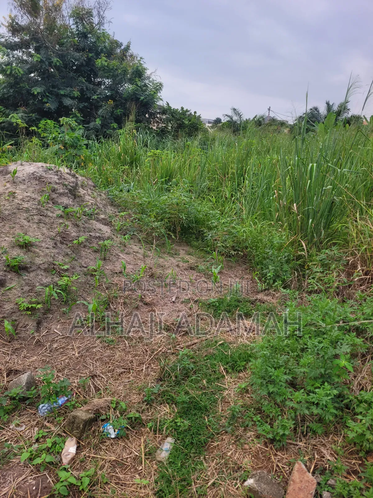 Plot for Sale at Brofoyedro Bebu