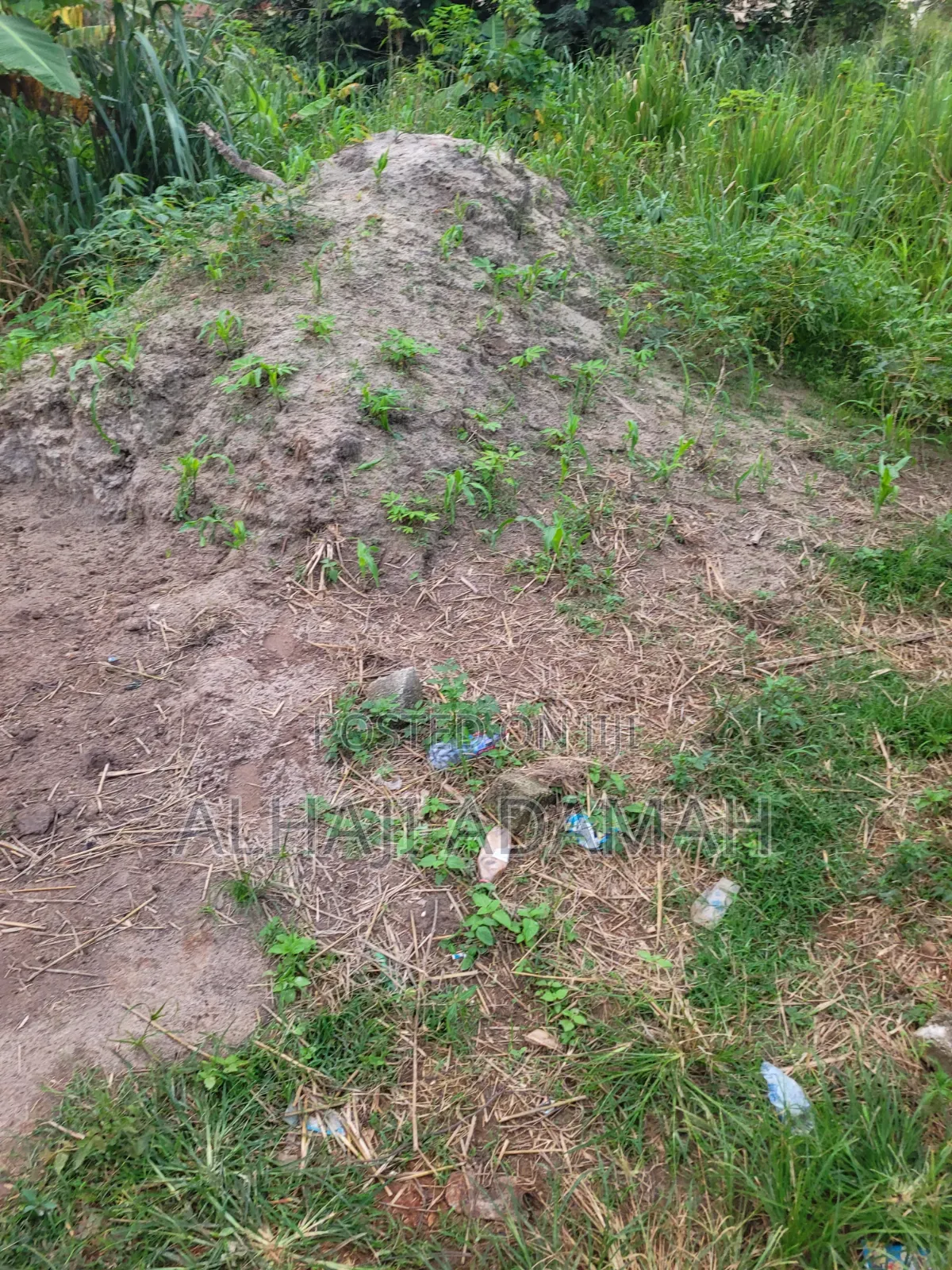 Plot for Sale at Brofoyedro Bebu