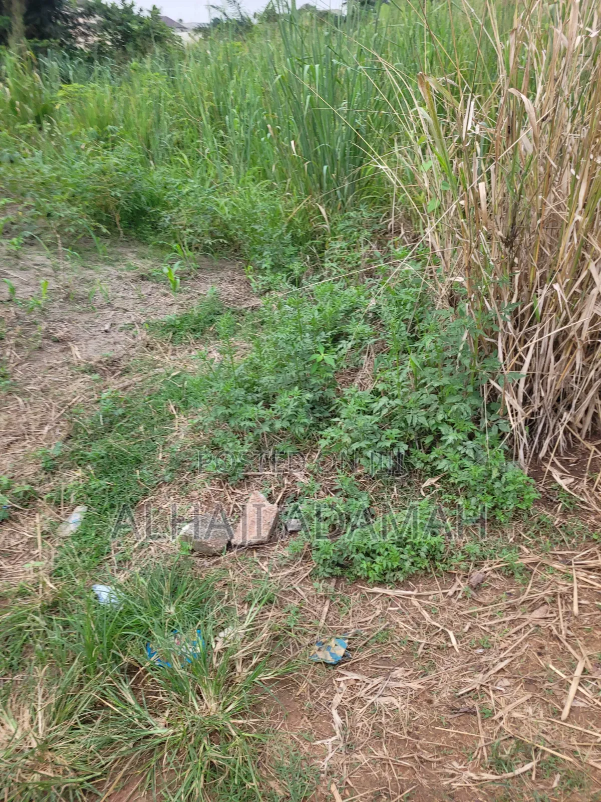 Plot for Sale at Brofoyedro Bebu