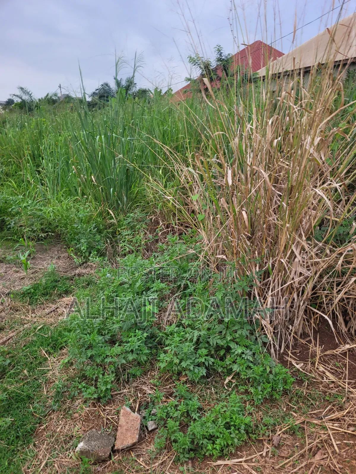 Plot for Sale at Brofoyedro Bebu