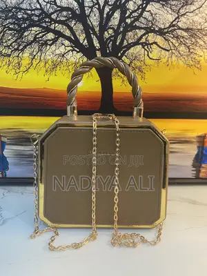 Ladies Hand Bag