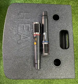 Heavy a Portable Active Speaker System