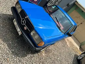 Mercedes-Benz W123 1981 Blue