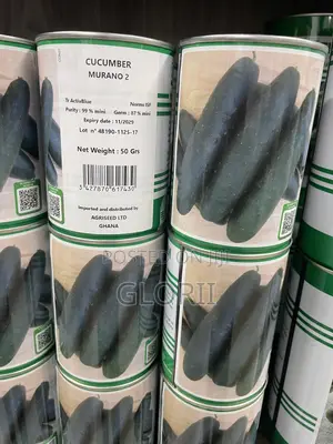 Cucumber Murano F1 Seeds