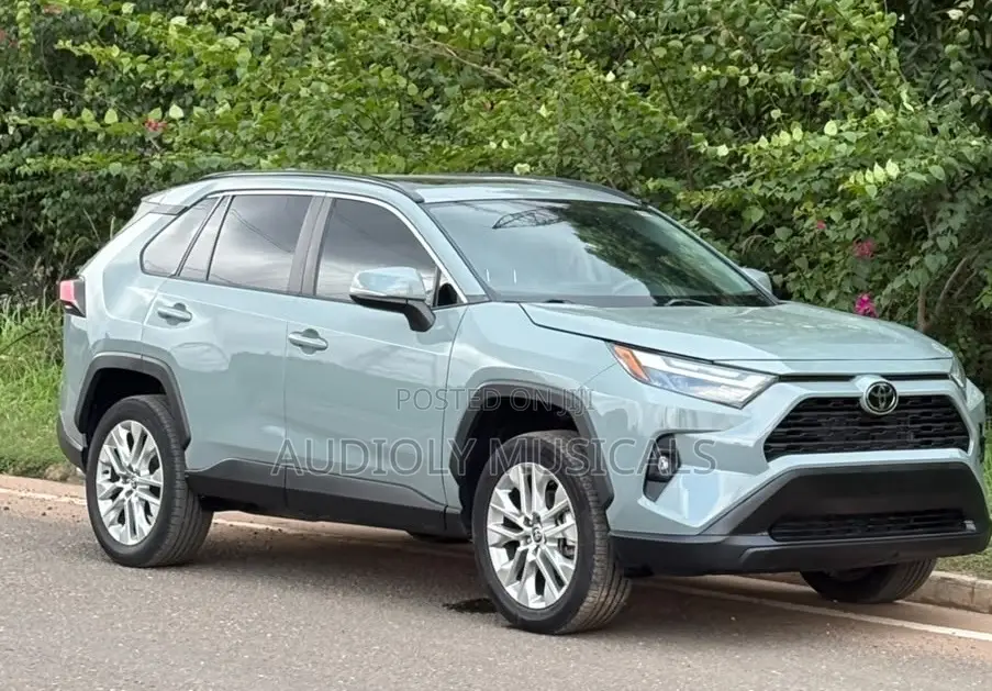 Toyota RAV4 XLE Premium AWD 2023 Green