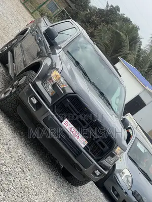 Ford F-150 2017 Gray