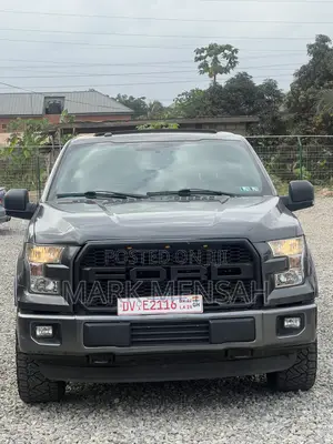 Ford F-150 2017 Gray