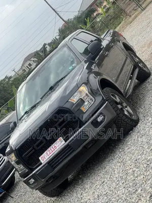 Ford F-150 2017 Gray