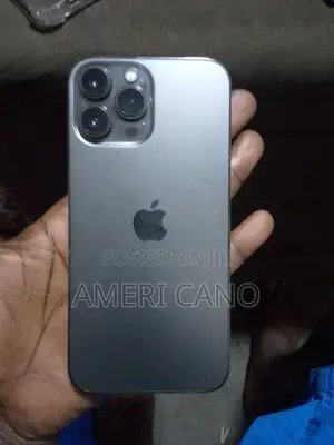 Apple iPhone 13 Pro Max 256 GB Gray