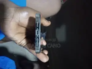 Apple iPhone 13 Pro Max 256 GB Gray