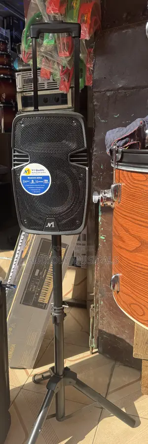 8inches Rechargeable Speaker Two Microphones and a Stand