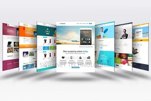 Professional Website Design Development