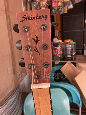 Semi Acoustic Giutar
