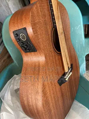 Semi Acoustic Giutar