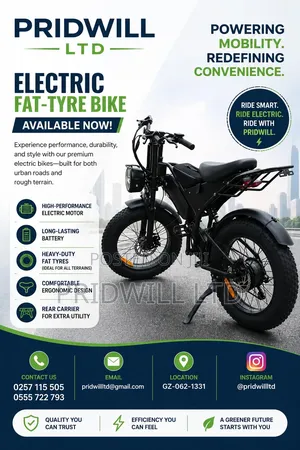 Electric Bike