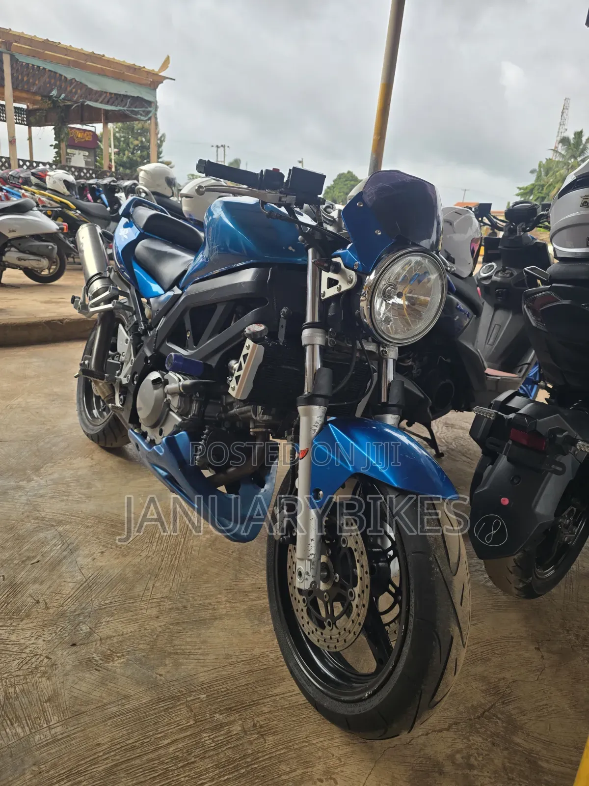 Suzuki SFV650 2020 Blue