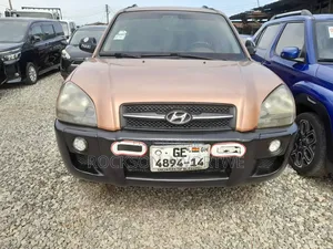 Hyundai Tucson 2008 Brown