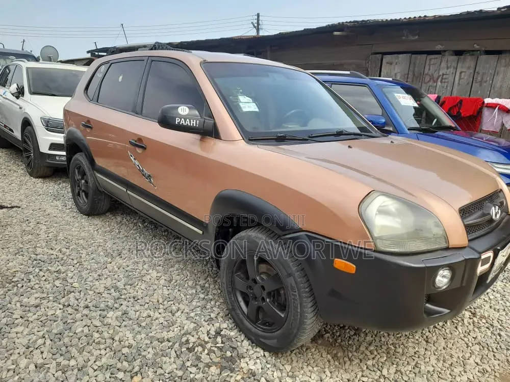 Hyundai Tucson 2008 Brown