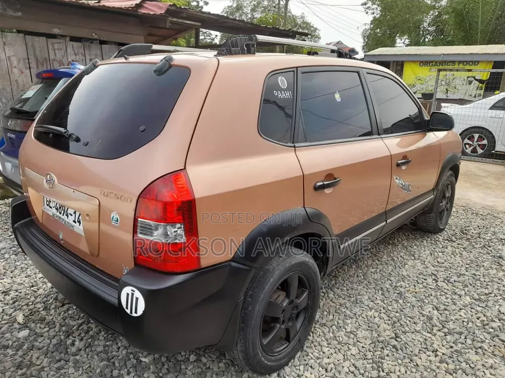 Hyundai Tucson 2008 Brown