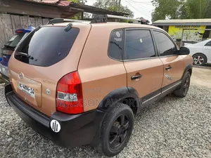 Hyundai Tucson 2008 Brown