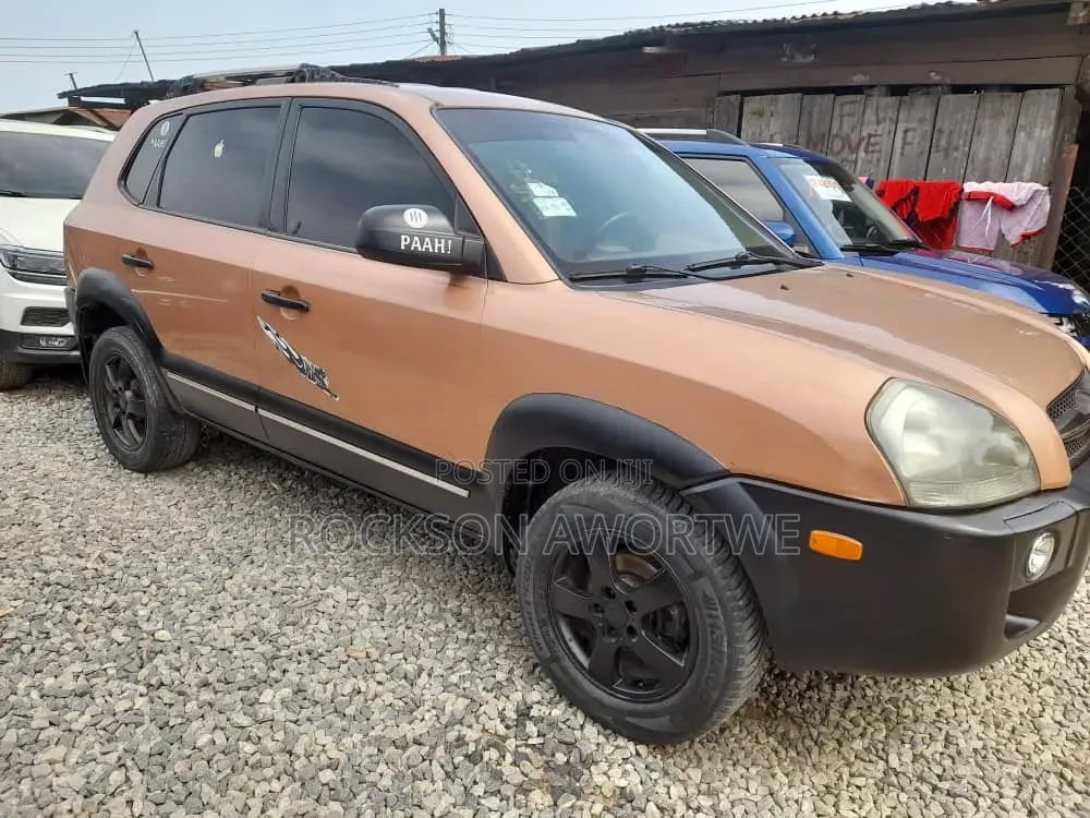 Hyundai Tucson 2008 Brown