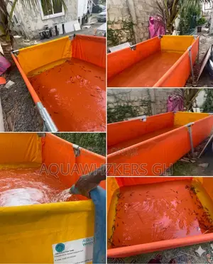 Catfish Farming