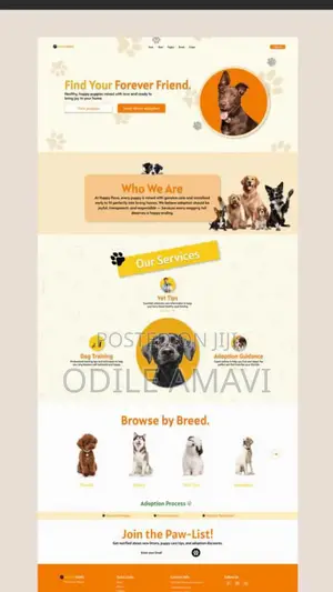 Professional Graphic Design Shopify Services