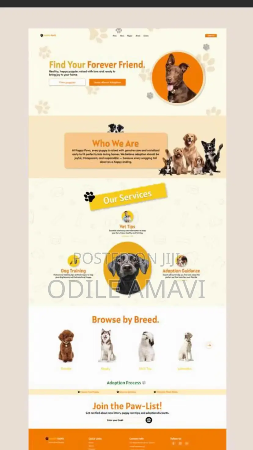 Professional Graphic Design Shopify Services