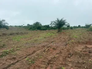 Land for Sale at Konkonuru