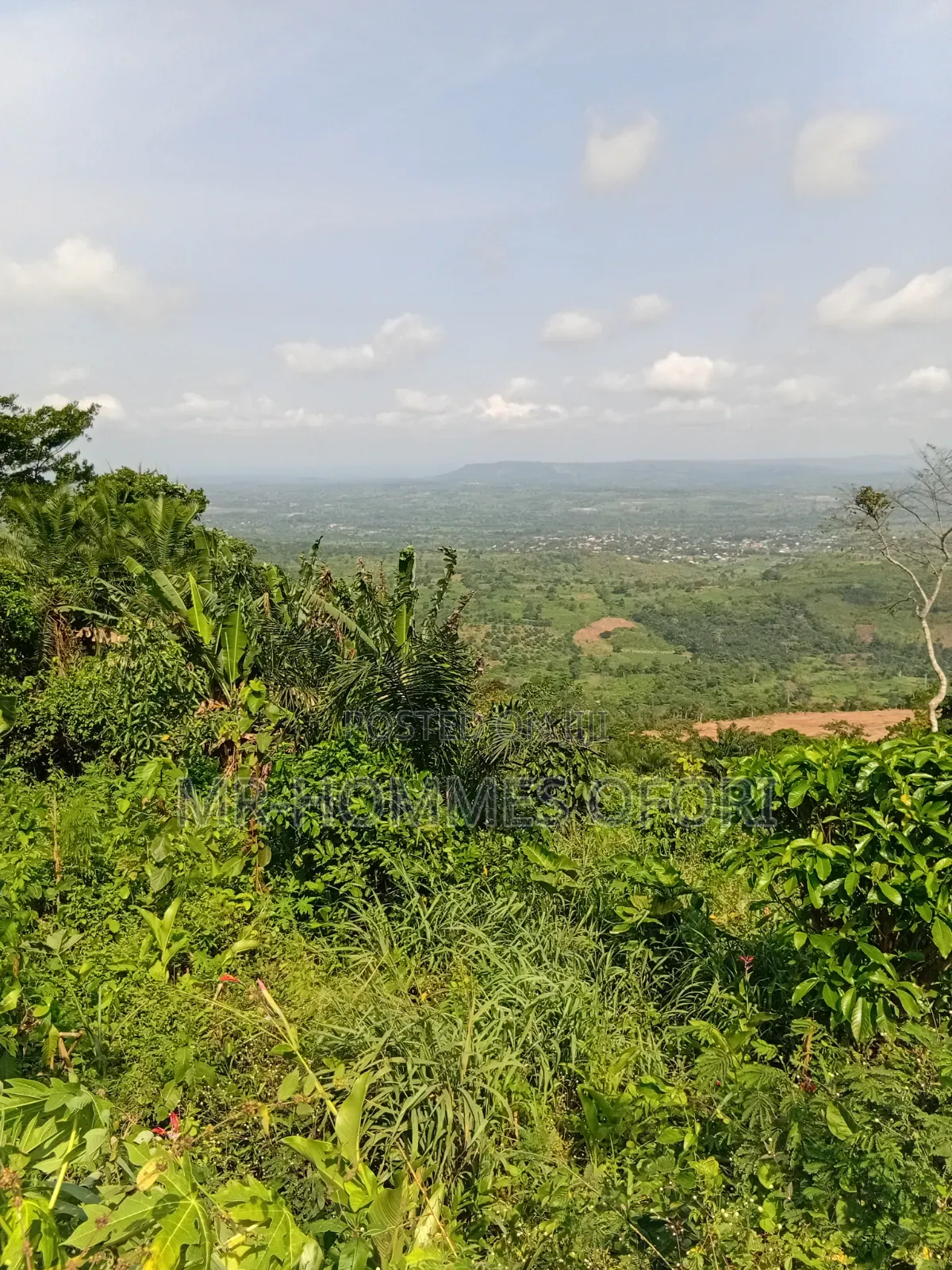 Litigation Free Lands Available for Sale at Mamfe Akuapim