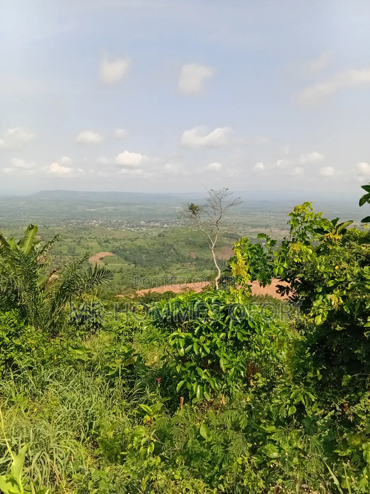 Litigation Free Lands Available for Sale at Mamfe Akuapim