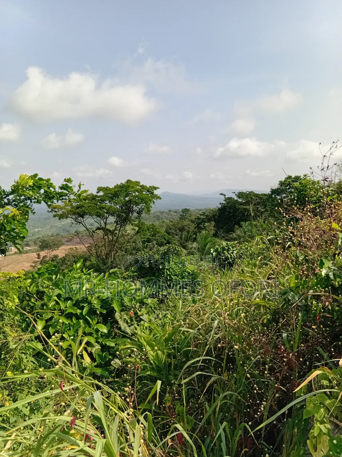 Litigation Free Lands Available for Sale at Mamfe Akuapim