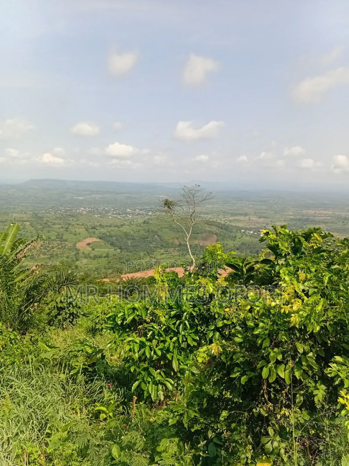 Litigation Free Lands Available for Sale at Mamfe Akuapim