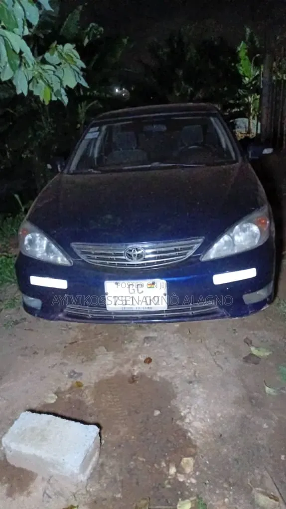 Toyota Camry 2009 Blue