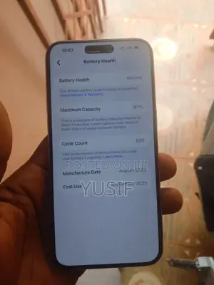 Apple iPhone 15 Pro Max 256 GB Silver