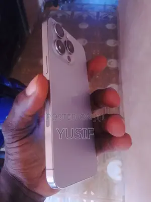 Apple iPhone 15 Pro Max 256 GB Silver