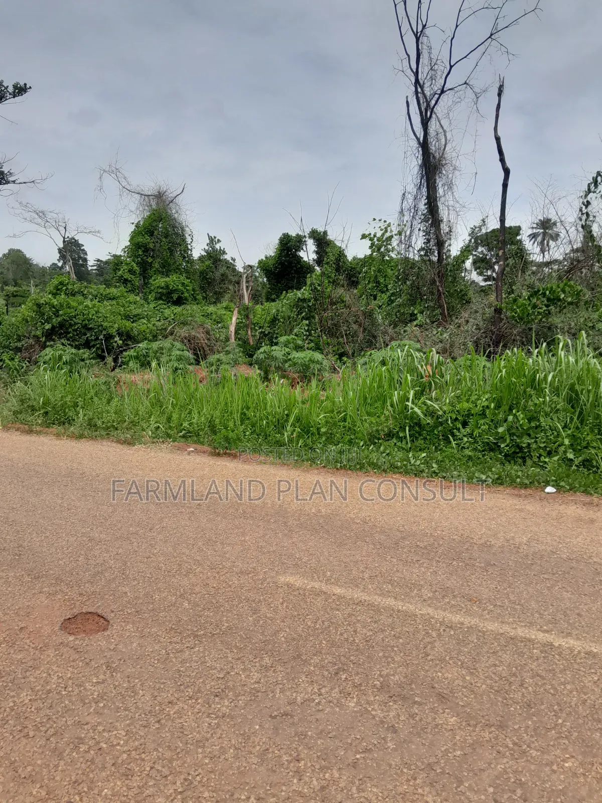 Farmland for Sale