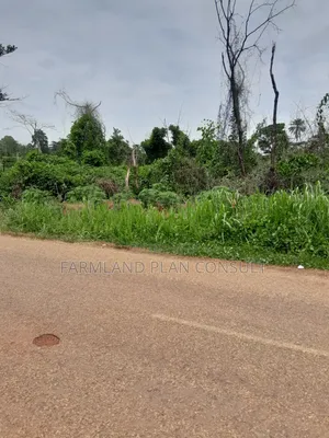 Farmland for Sale