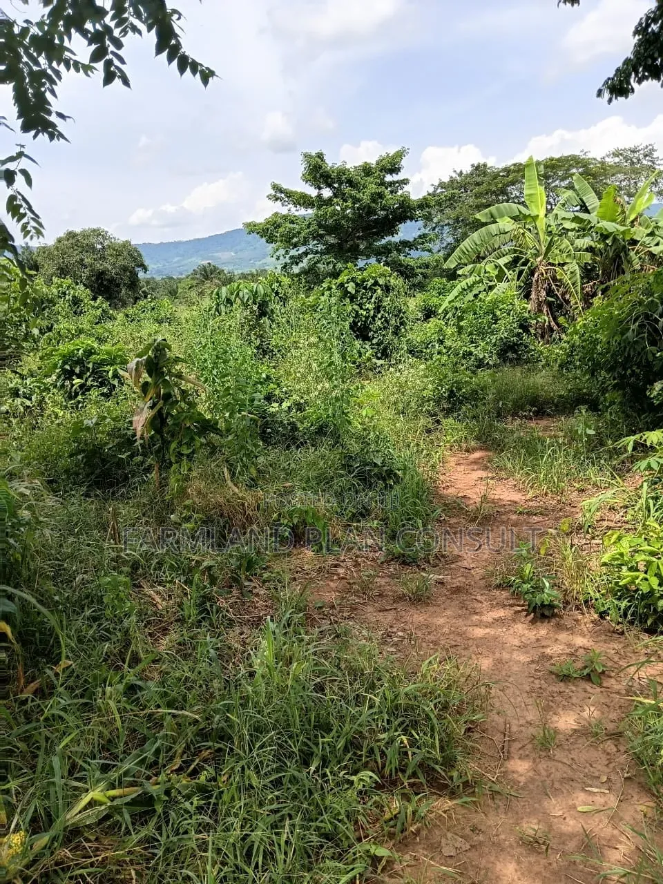 Land for Sale