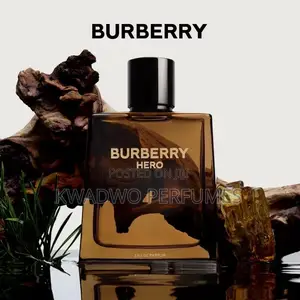 Burberry Hero