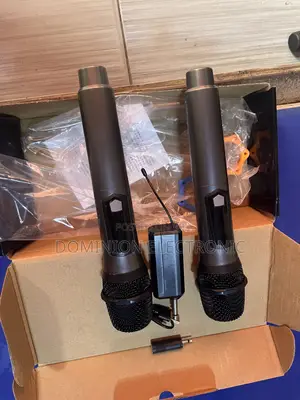 Professional Wireless Microphone